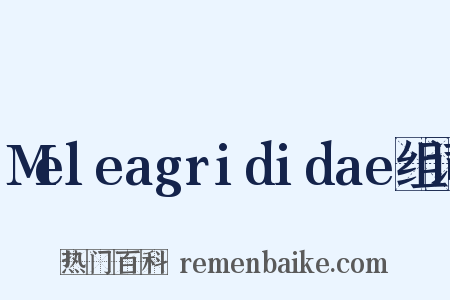 Meleagrididae组词是什么意思的图片